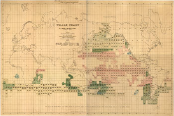 /artifacts/views/maury_whale_chart.jpg